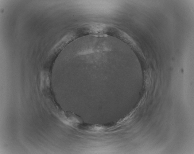 X0000062630313200512211236