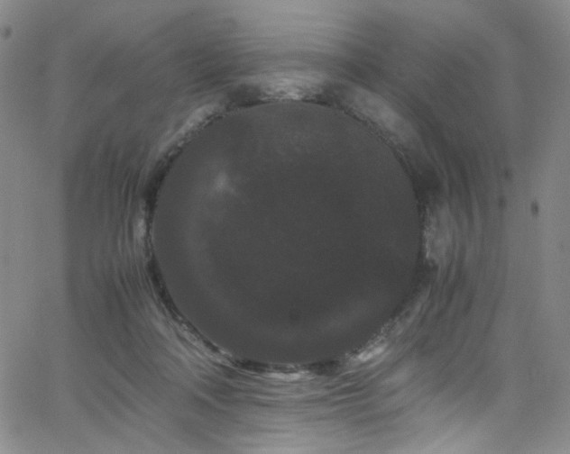 X0000062630314200512211236