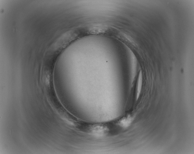 X0000062630315200512211236