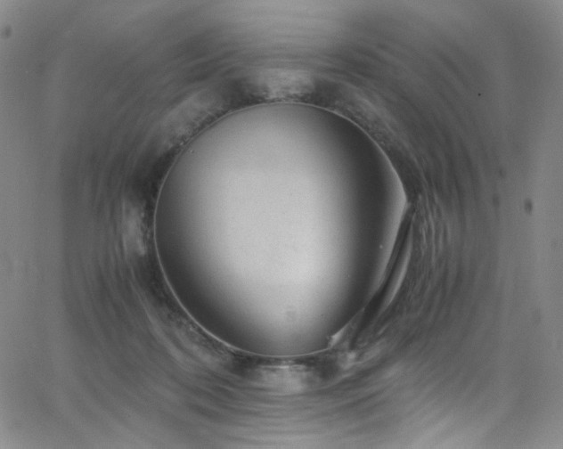 X0000062630316200512211236