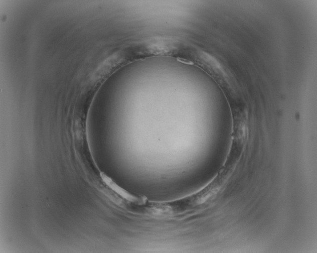 X0000062630317200512211236