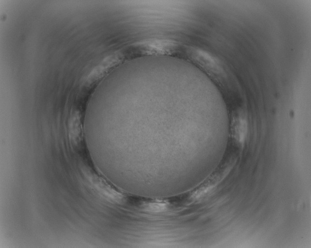 X0000062630318200512211236