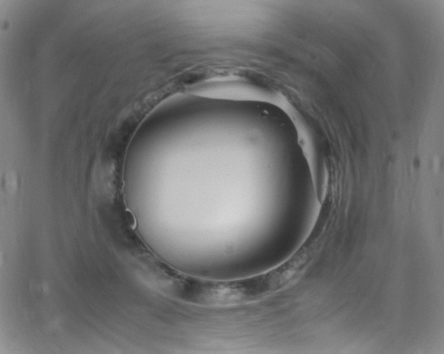 X0000062630319200512211236