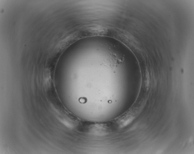 X0000062630320200512211236