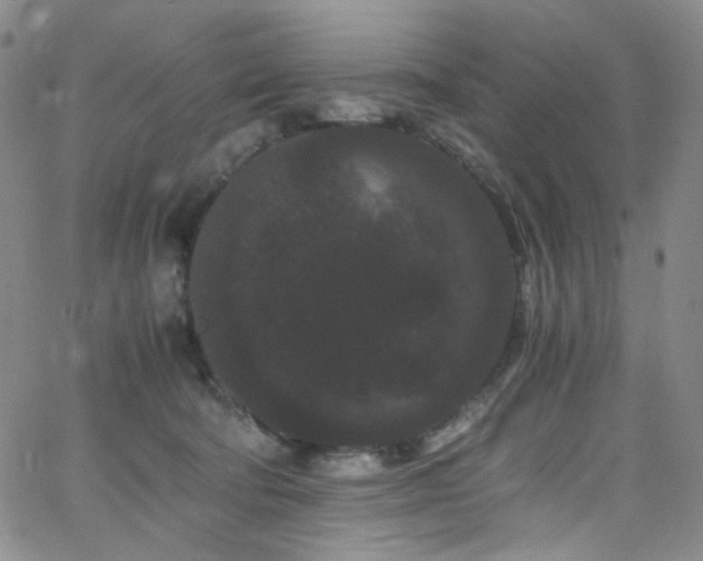 X0000062630322200512211236