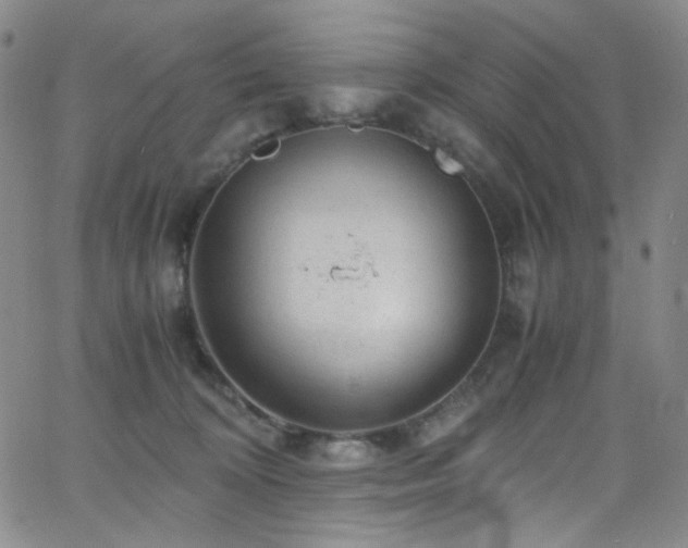 X0000062630324200512211236