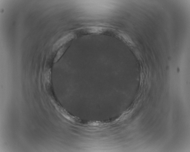 X0000062630325200512211236