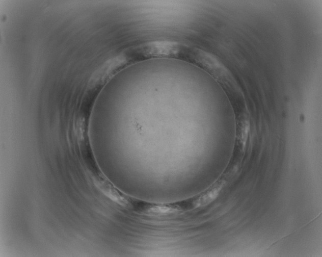 X0000062630326200512211236