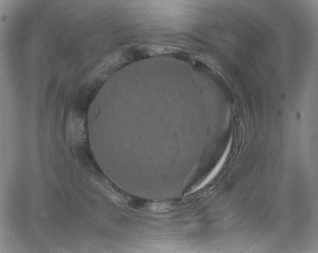 X0000062630327200512211235