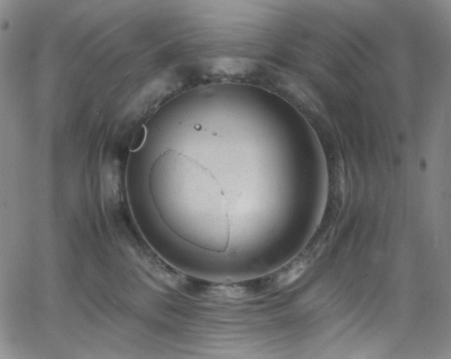 X0000062630328200512211235