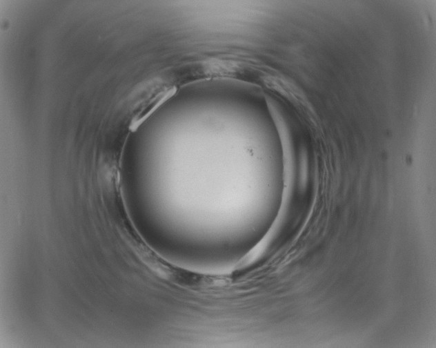 X0000062630329200512211235