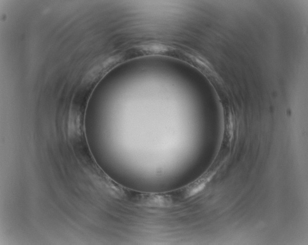 X0000062630330200512211235