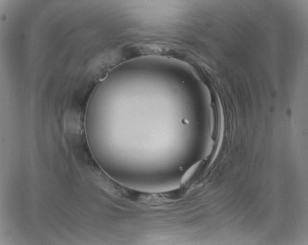 X0000062630331200512211235