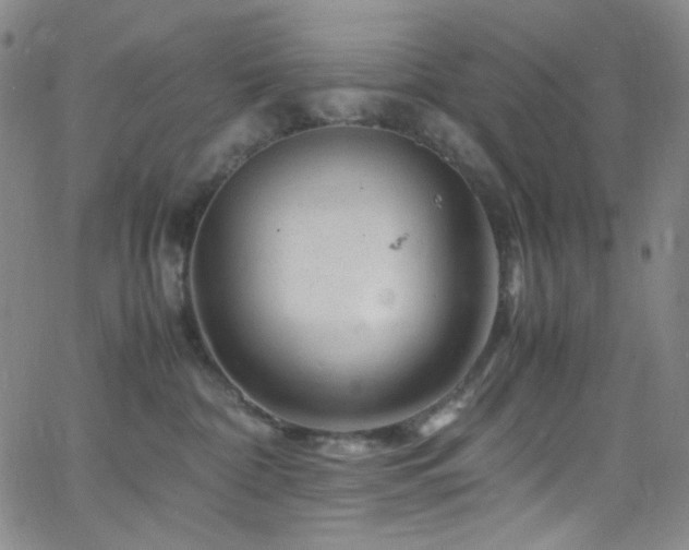 X0000062630332200512211235