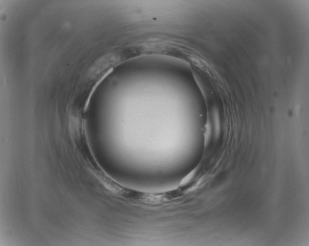 X0000062630333200512211235