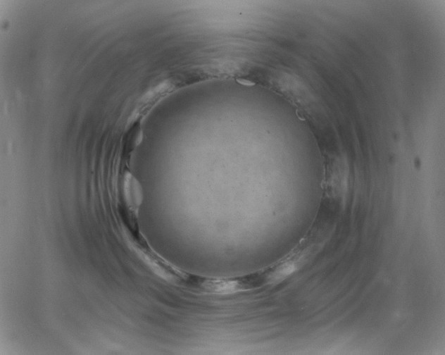 X0000062630334200512211235