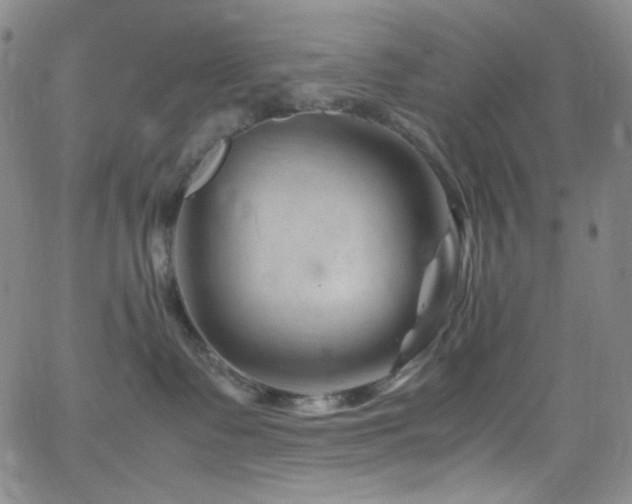 X0000062630335200512211235