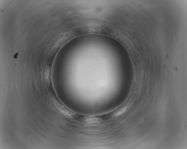 X0000062630336200512211235