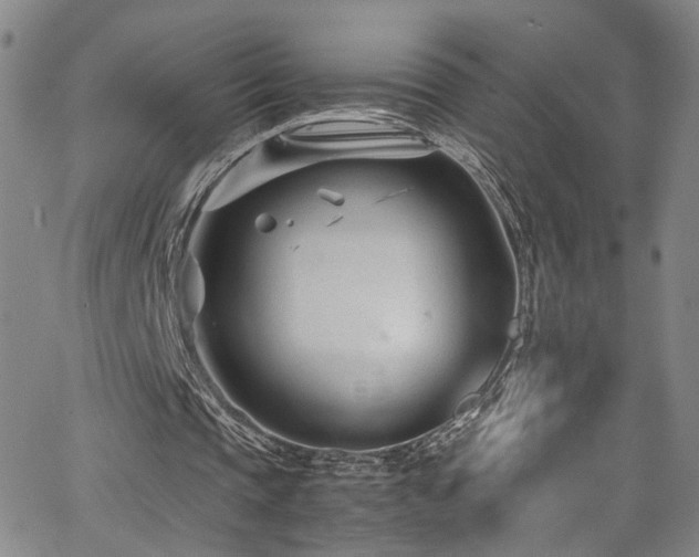 X0000062630337200512211235