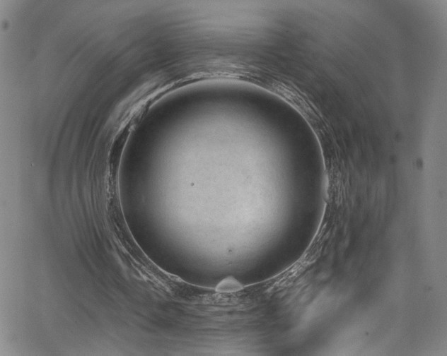 X0000062630338200512211235