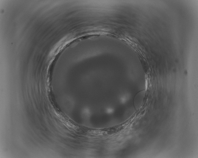 X0000062630339200512211235