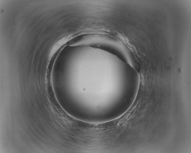 X0000062630340200512211235