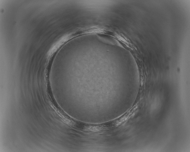 X0000062630341200512211235