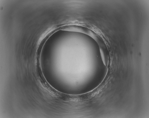 X0000062630344200512211235