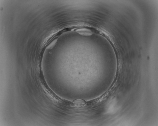 X0000062630345200512211235