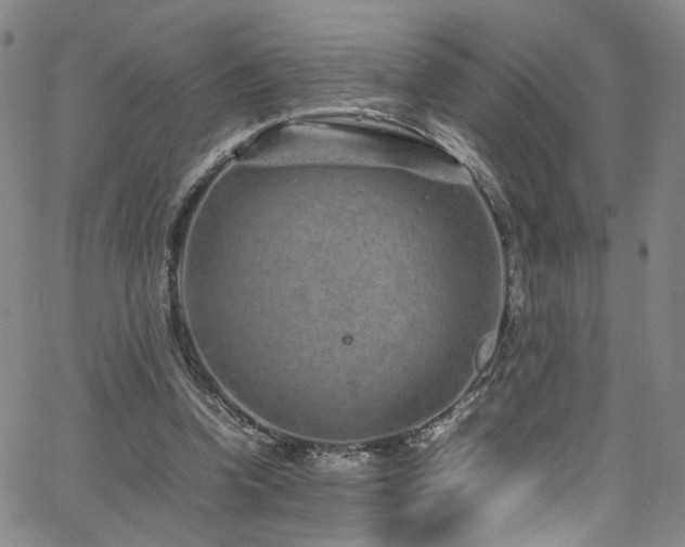 X0000062630346200512211235