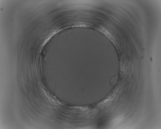 X0000062630347200512211235