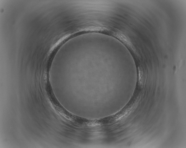 X0000062630348200512211235