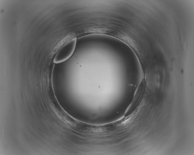 X0000062630349200512211235