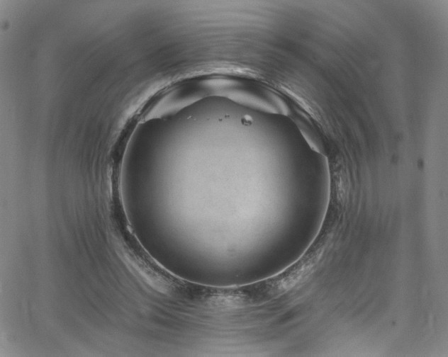 X0000062630350200512211235