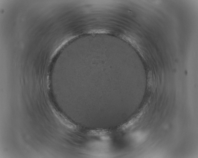 X0000062630351200512211235