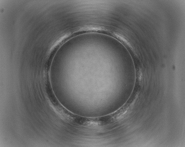 X0000062630352200512211235