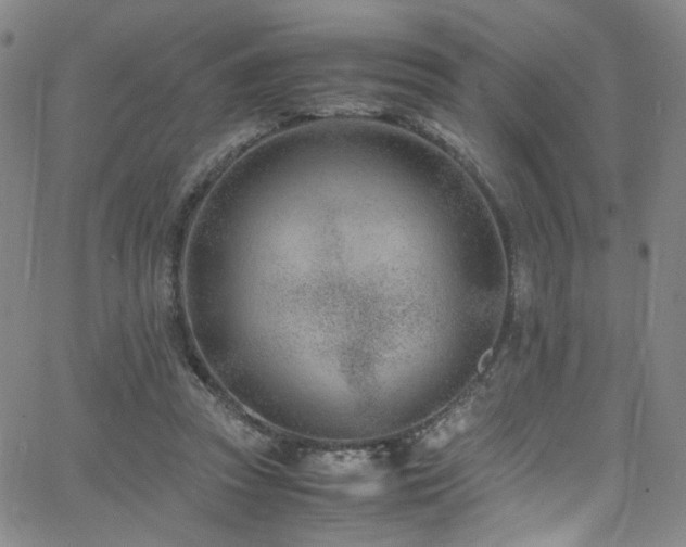 X0000062630353200512211235