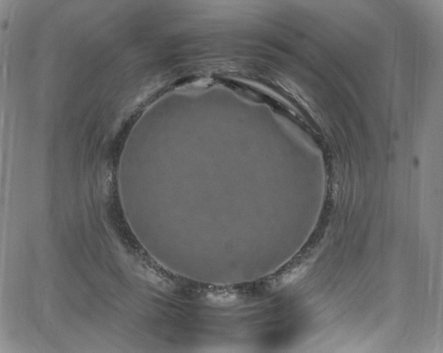 X0000062630355200512211235