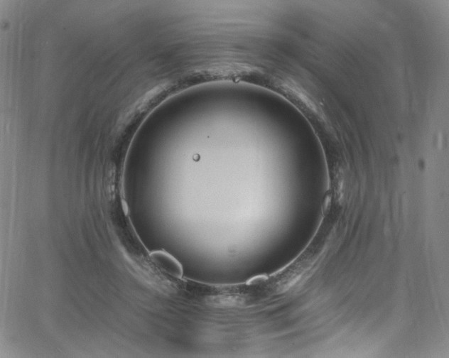 X0000062630356200512211235