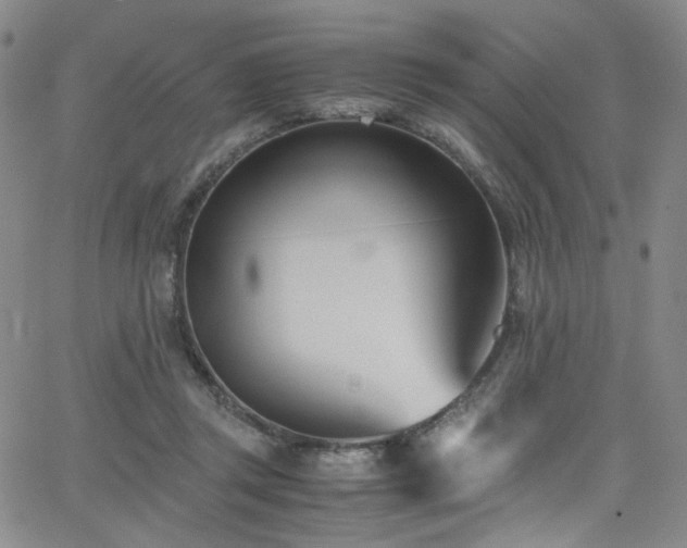 X0000062630357200512211235