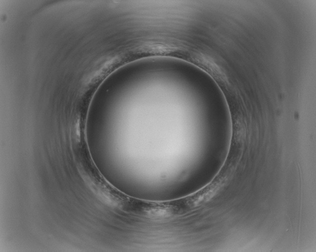 X0000062630358200512211235