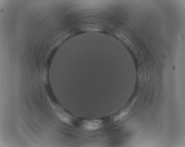 X0000062630359200512211235