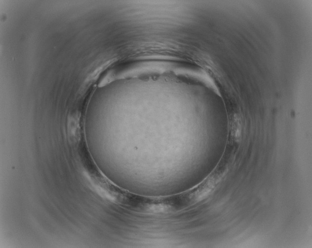 X0000062630360200512211235