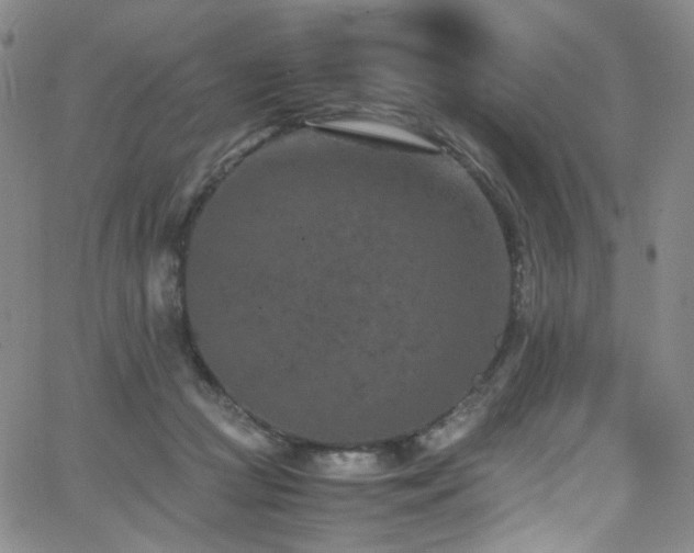 X0000062630361200512211235