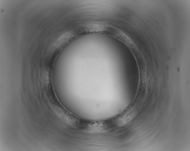 X0000062630362200512211235