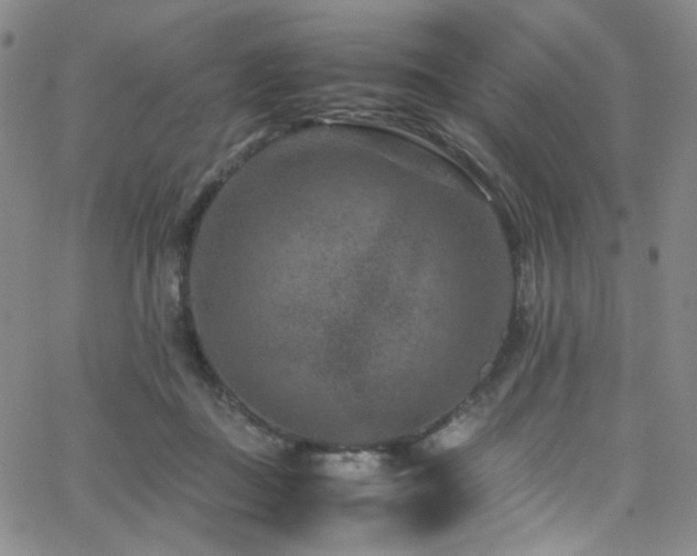 X0000062630363200512211235