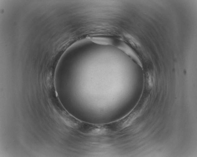 X0000062630364200512211235