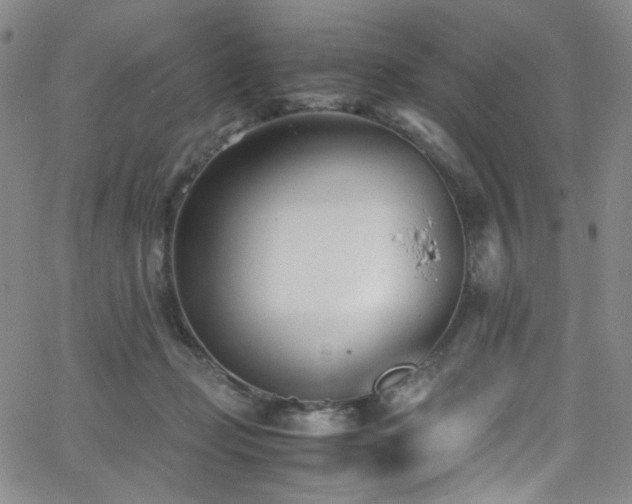 X0000062630365200512211235