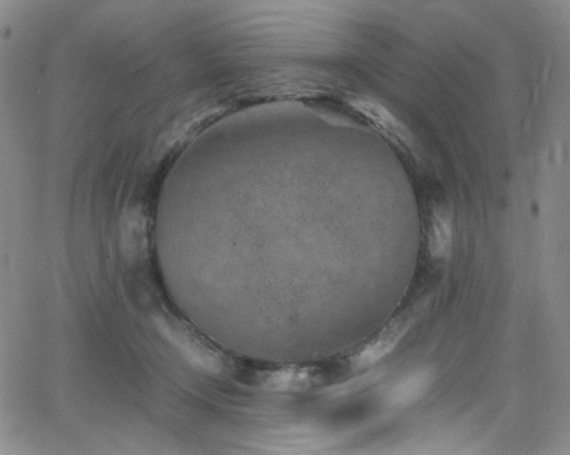 X0000062630366200512211235