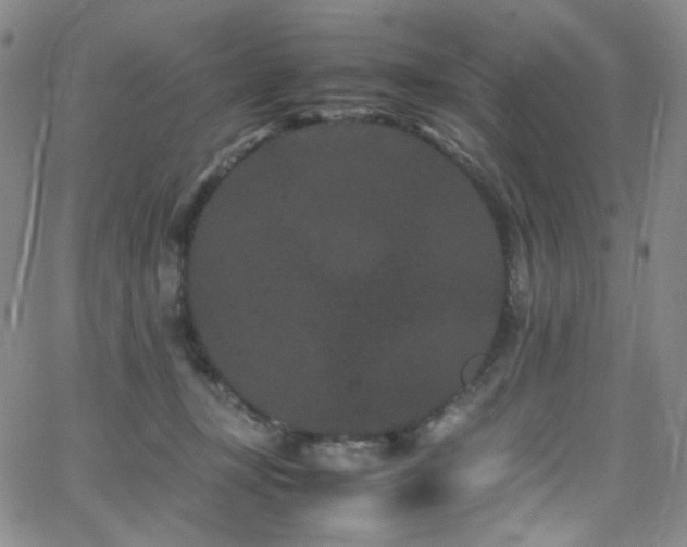 X0000062630367200512211235